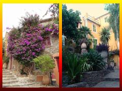 183 D23 BORMES LES MIMOSAS 1_000040
